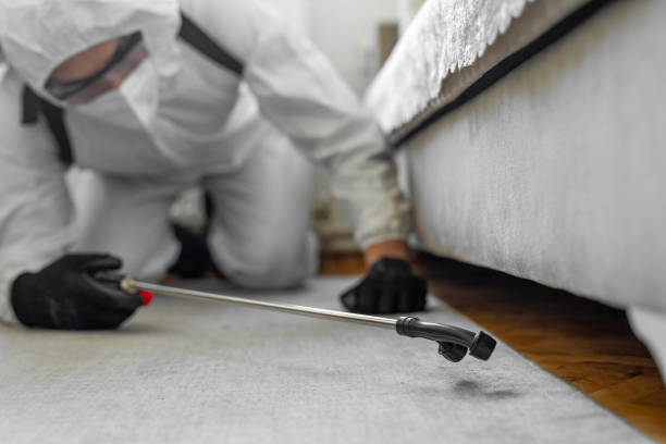 Professional Termite Control technician working in Bondurant, IA